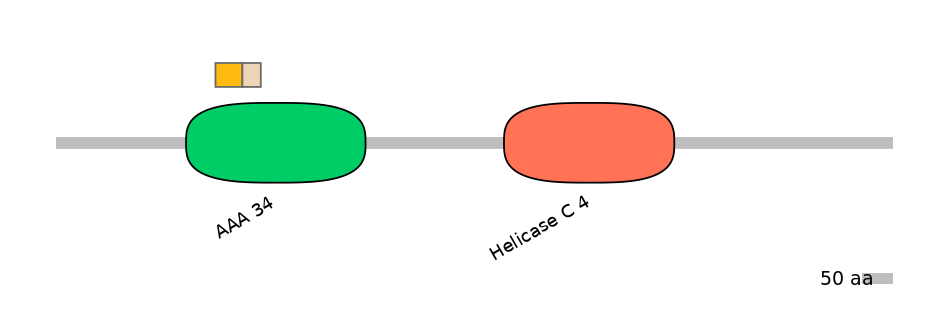 HsaINT0145272-EXC