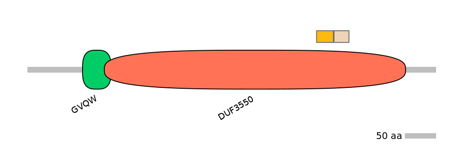 HsaINT0145302-EXC