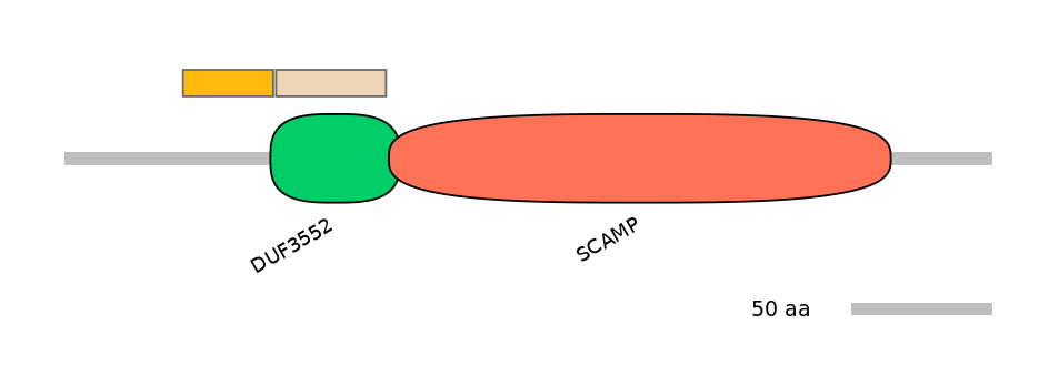 HsaINT0145326-EXC