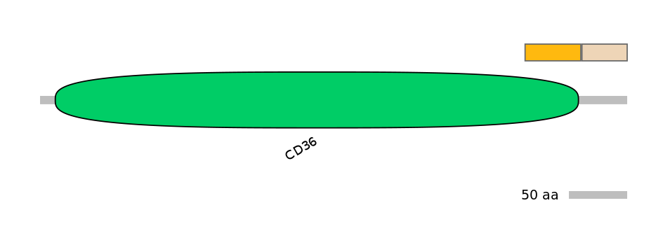 HsaINT0145437-EXC