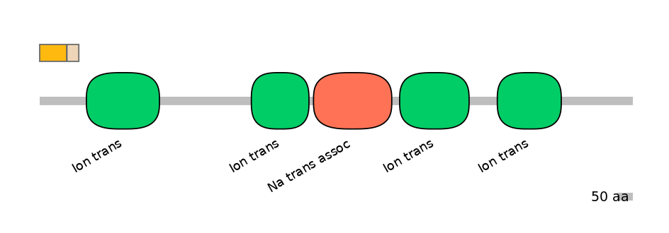 HsaINT0145719-EXC