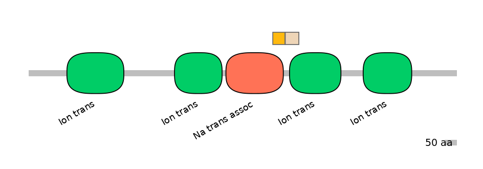 HsaINT0145754-EXC