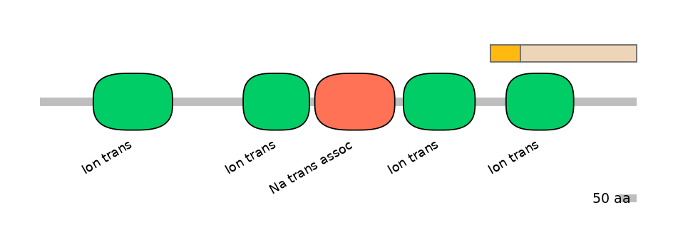 HsaINT0145762-EXC