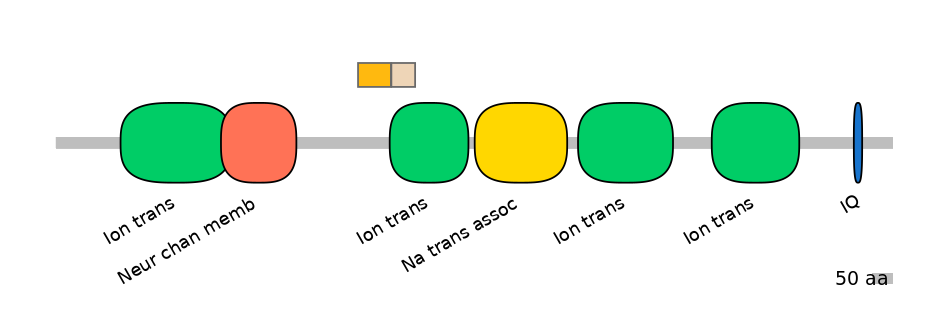HsaINT0145773-EXC