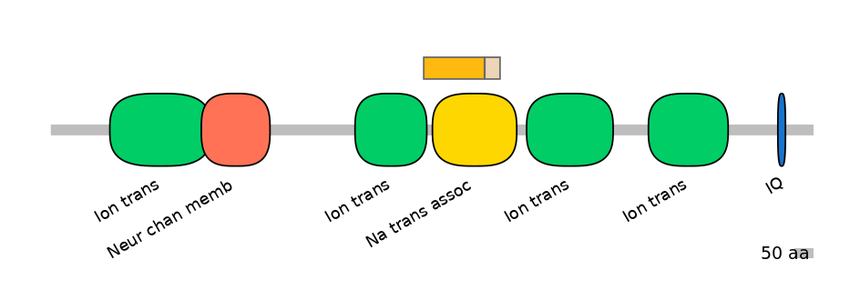 HsaINT0145776-EXC
