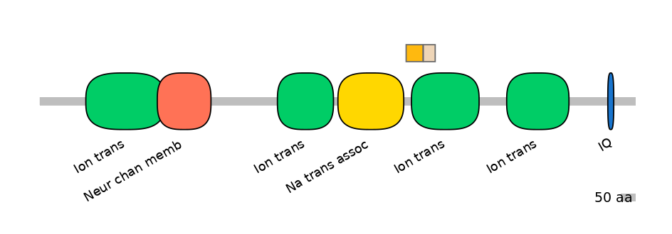 HsaINT0145779-EXC