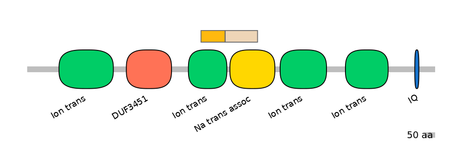 HsaINT0145804-EXC