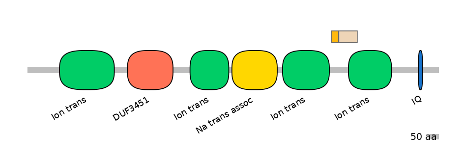 HsaINT0145814-EXC