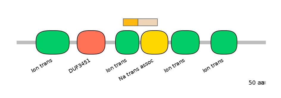 HsaINT0145838-EXC