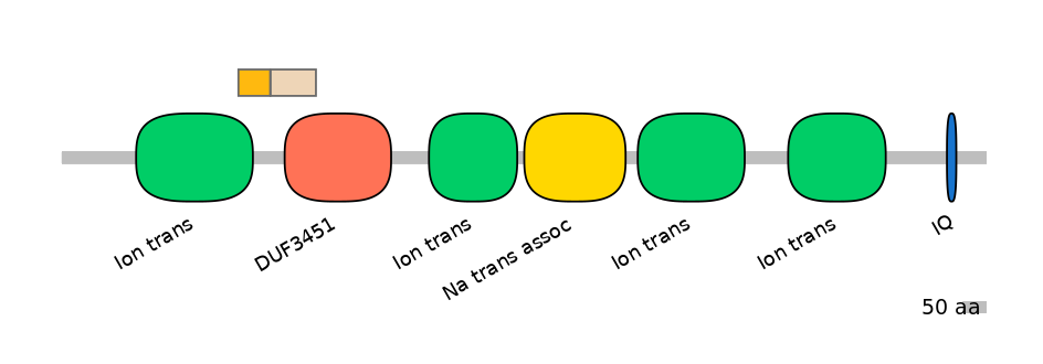 HsaINT0145944-EXC