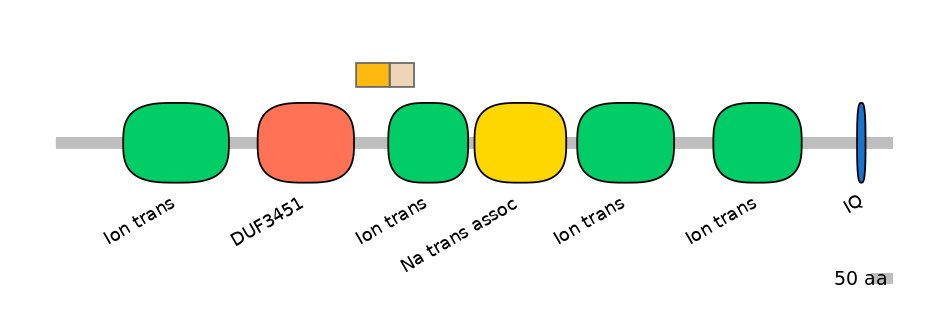 HsaINT0145948-EXC