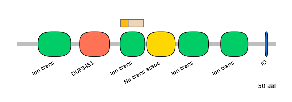 HsaINT0145949-EXC