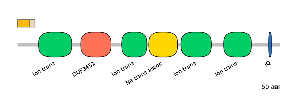 HsaINT0145954-EXC