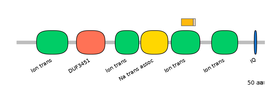 HsaINT0145957-EXC