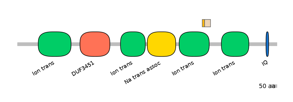 HsaINT0145958-EXC