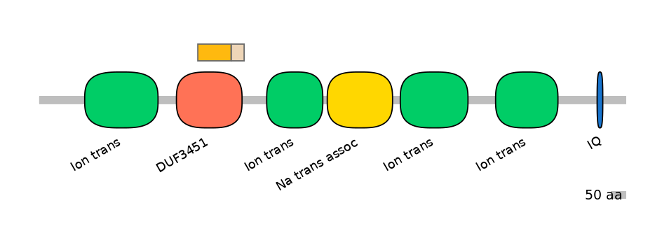 HsaINT0145972-EXC