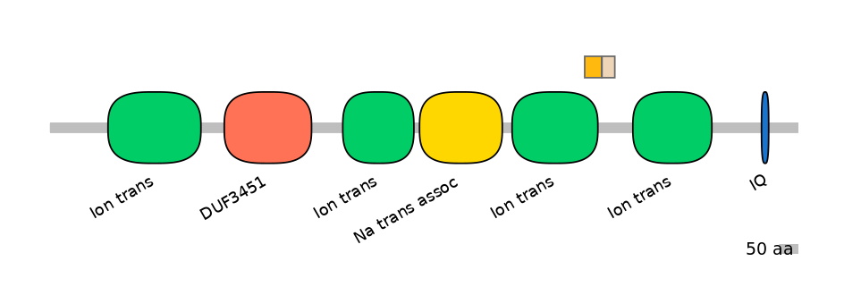 HsaINT0145985-EXC