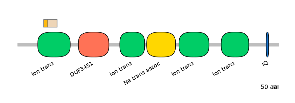 HsaINT0145991-EXC
