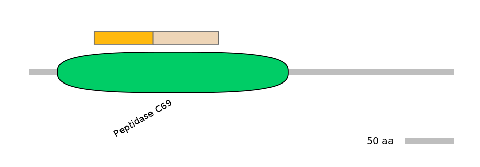 HsaINT0146142-EXC