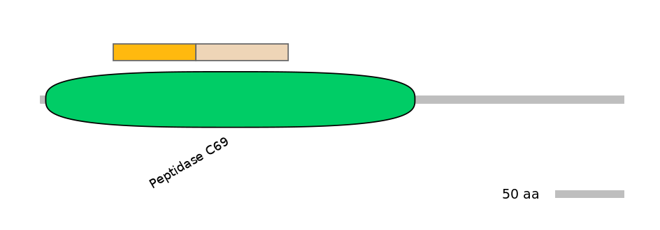 HsaINT0146147-EXC