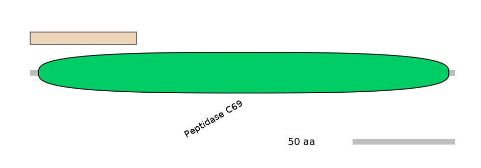 HsaINT0146152-INC