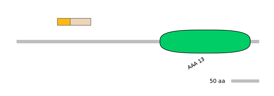 HsaINT0146367-EXC