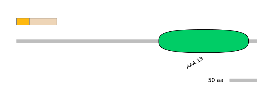 HsaINT0146375-EXC