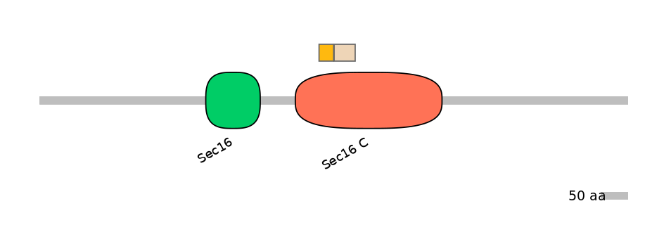 HsaINT0146715-EXC