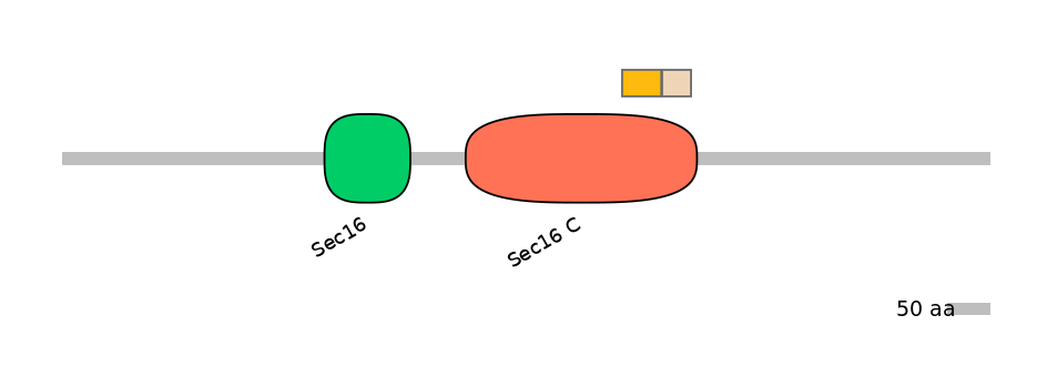 HsaINT0146719-EXC