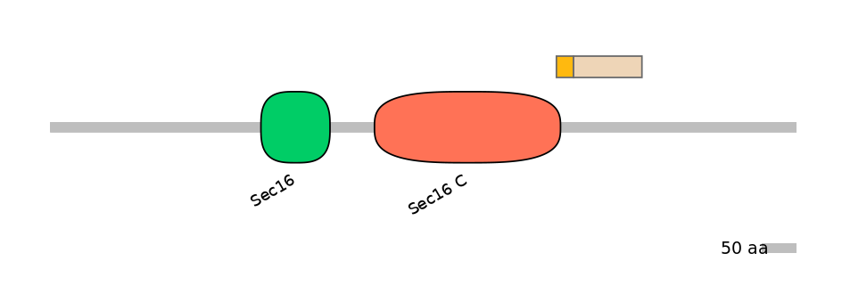 HsaINT0146721-EXC