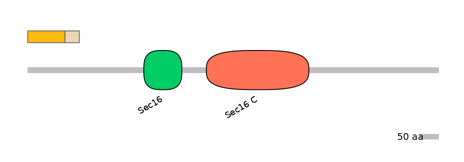HsaINT0146723-EXC