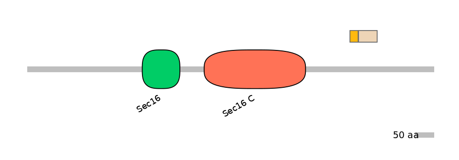 HsaINT0146724-EXC