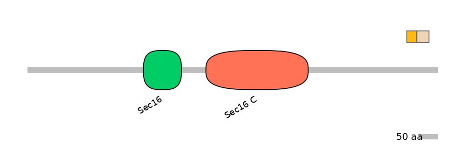 HsaINT0146728-EXC
