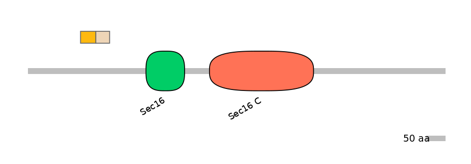 HsaINT0146731-EXC