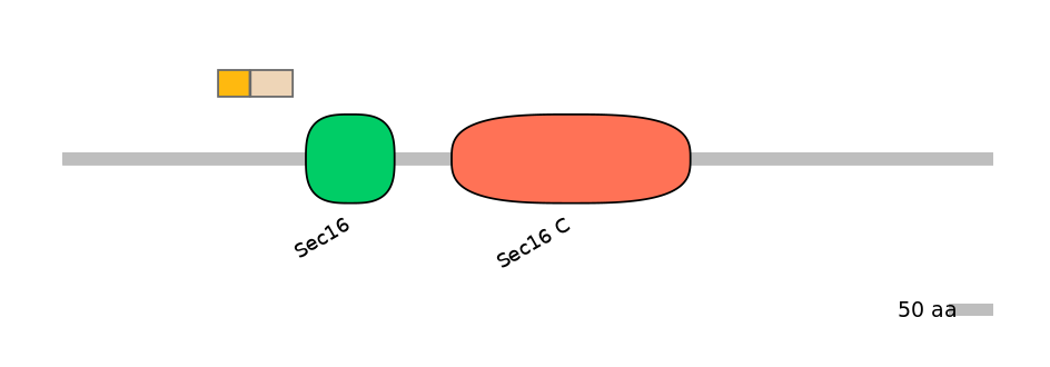HsaINT0146732-EXC