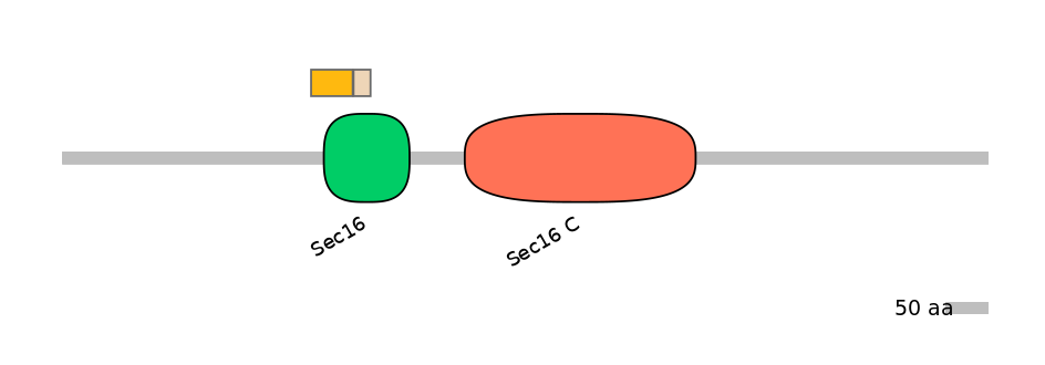 HsaINT0146734-EXC
