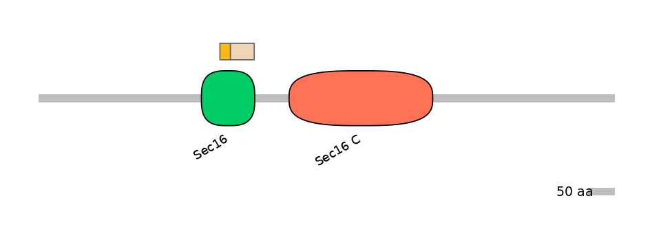 HsaINT0146735-EXC