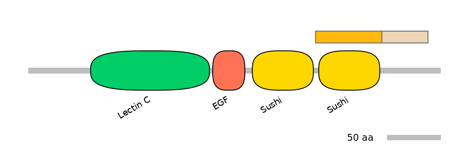 HsaINT0147153-EXC