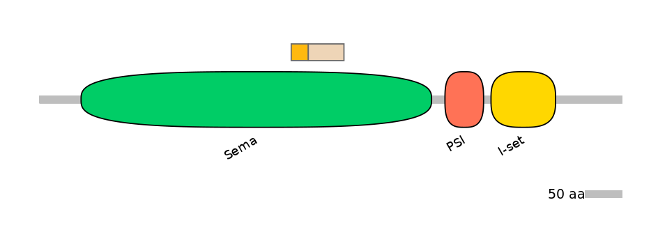 HsaINT0147286-EXC