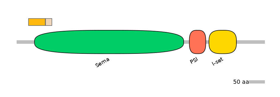 HsaINT0147295-EXC