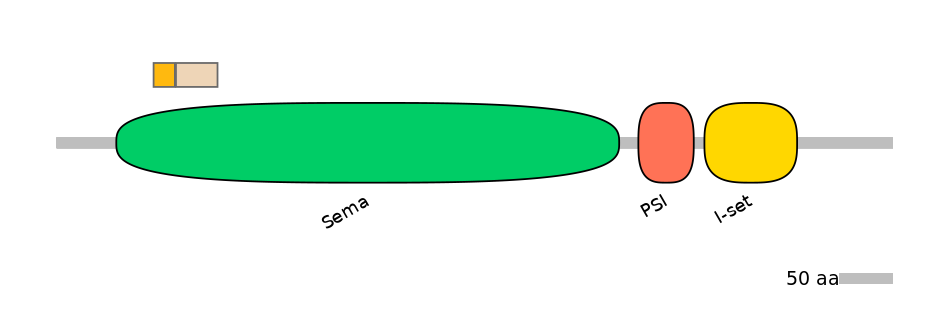 HsaINT0147296-EXC