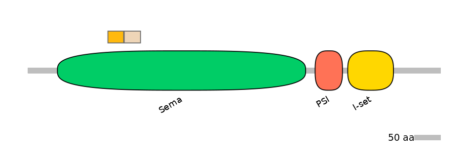 HsaINT0147298-EXC