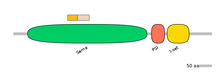 HsaINT0147300-EXC