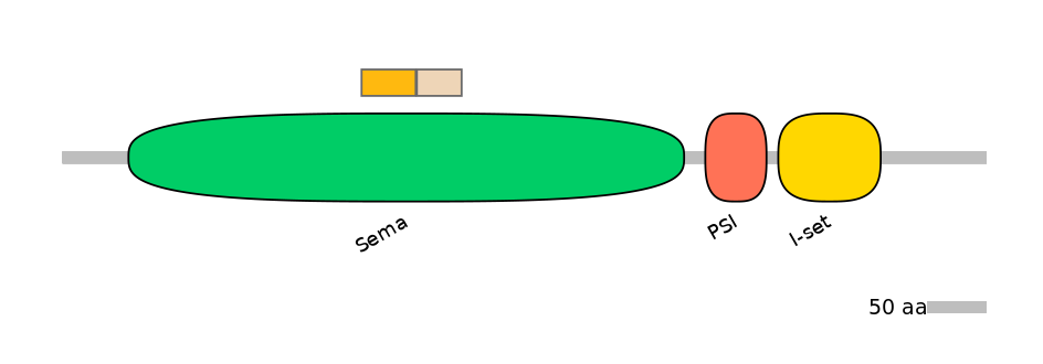 HsaINT0147301-EXC