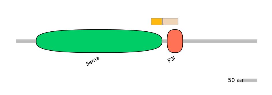 HsaINT0147336-EXC
