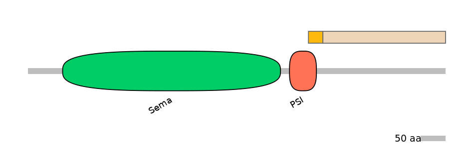 HsaINT0147338-EXC
