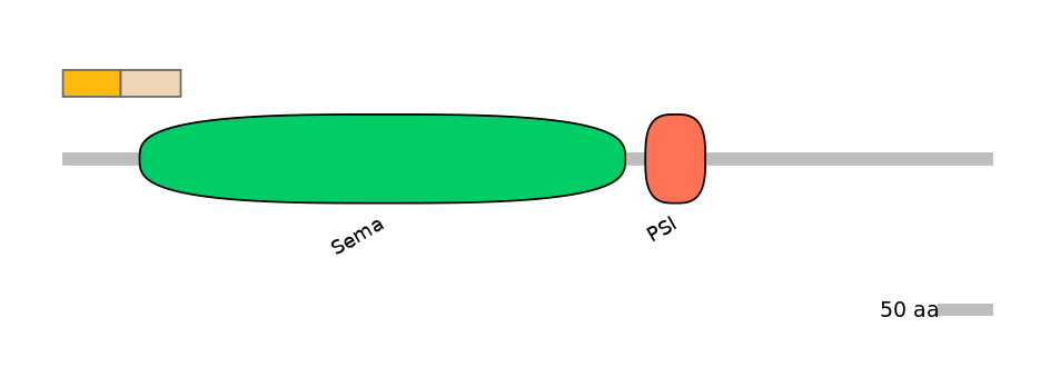 HsaINT0147339-EXC