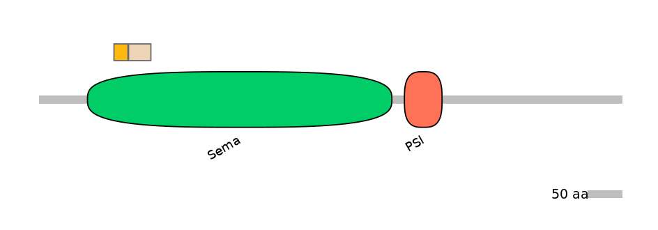 HsaINT0147341-EXC