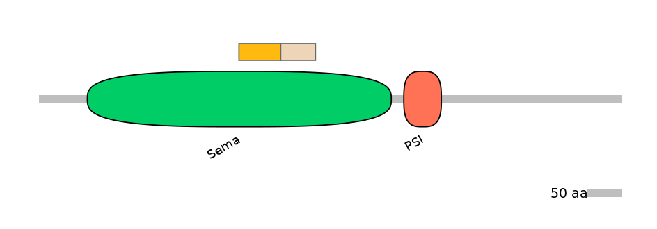 HsaINT0147346-EXC