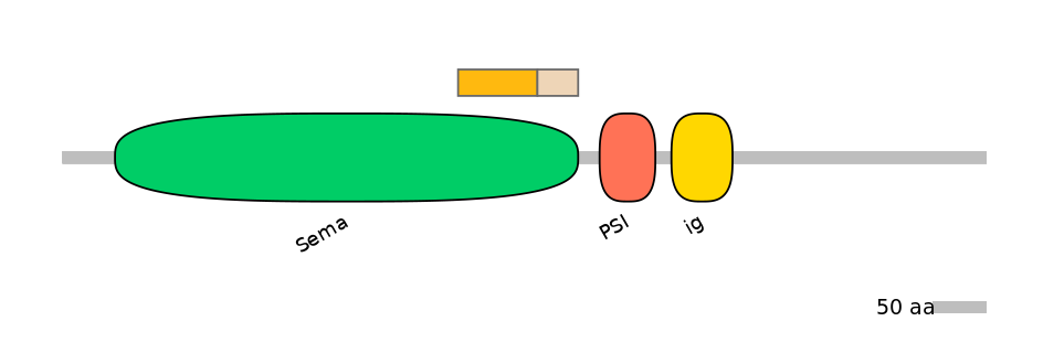 HsaINT0147366-EXC